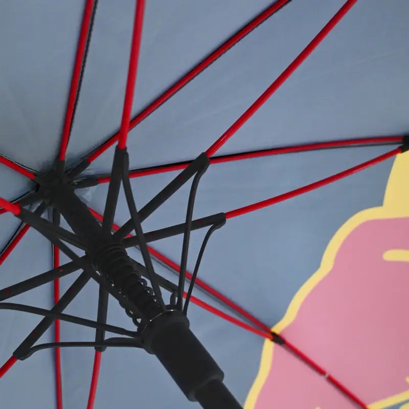 SPARCO Regenschirm RED BULL RACING