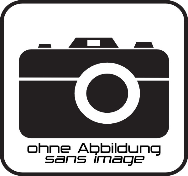 EISENMANN Mittel- und Endschalldämpfer