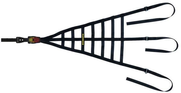 SCHROTH Innenraum-Netz, Fahrer, FIA 8863-2013