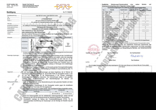 DTC Gutachten Audi Q6/SQ6 (GF)
