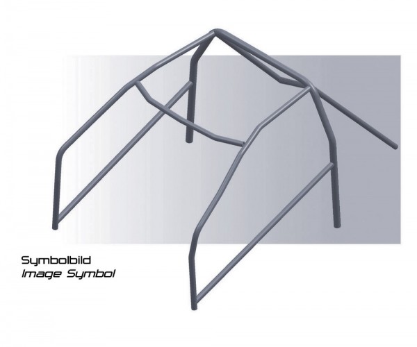 SPARCO Überrollbügel Typ 4, (ONS-Norm)